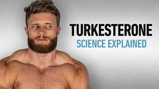 Turkesterone Explained Whats All The Hype About [upl. by Fretwell950]