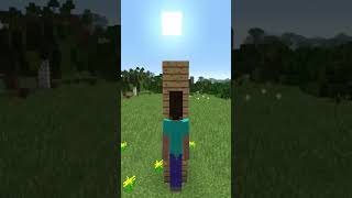 Whatt shorts minecraft minecraftshorts [upl. by Miharbi445]