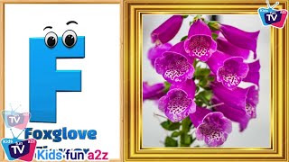 Flowers ABC Song for Kids  Phonics for Kids  English Alphabet Letters [upl. by Sirron80]