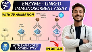 enzyme linked immunosorbent assay elisa biochemistry  Animation [upl. by Quitt]