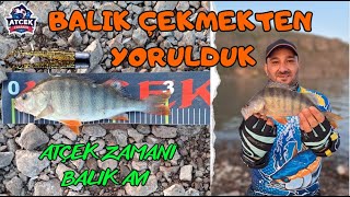 Balık Çekmekten Yorulduk PERCH Avı perch balık fishing ankara atçekzamanı lrfavı [upl. by Norty]