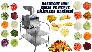 ROBOTCUT MINI SEBZE VE MEYVE DİLİMLEME MAKİNESİ [upl. by Marylin]