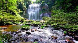 Waterfall flowing over rocks in forest 4k Relaxing flowing water White Noise for Sleep Meditation [upl. by Osmond]