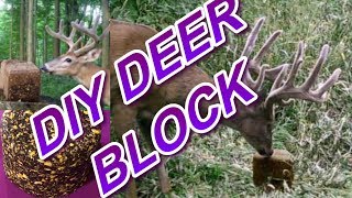 DIY Deer Block Easy Make Solid Feed  Mineral Block [upl. by Sam251]