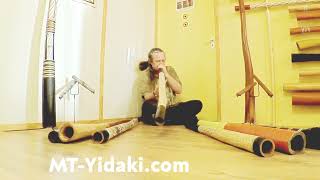 MTYidaki playing a Marikuku Wirrpanda D  G yiḏaki  didgeridoo [upl. by Ajssatsan]