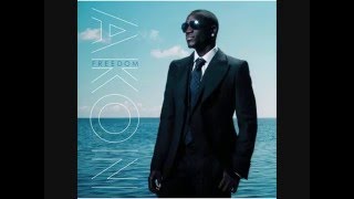 Akon  Freedom  Against The Grain Feat Ray Lavender [upl. by Annekim]