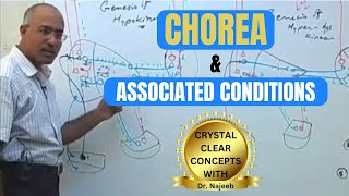 Chorea and its Associated Conditions  Neurophysiology🧠 [upl. by Eiramrebma]