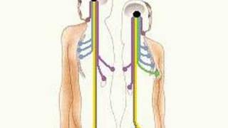 How the Body Works  The Anterior Pituitary Gland [upl. by Maharva460]