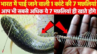 7 Most Popular Single Bone Fishes in India एक कांटे वाली भारत की 7 सबसे लोकप्रिय मछलियां [upl. by Ute689]