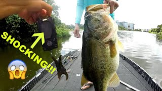 Catching the BIGGEST BASS EVER on Film New PB [upl. by Atiana]