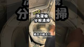 洗濯槽クリーナーだけでは限界なのか！？DIYで洗濯機を分解洗浄したら半端じゃなかった！！！③【日立ビートウォッシュBWV80A】diy＃掃除＃洗濯機＃洗濯機洗净hitachi [upl. by Ddart449]