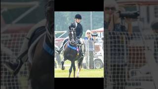 I do miss it and I miss my show pony equestrian huntseat horse morganhorse [upl. by Carmencita822]