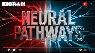 How Do Nerve Pathways Circulate in the Body Brain Nerve Pathway Map and Lengths Explained [upl. by Eecak]