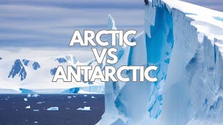 Arctic vs Antarctic What’s the Real Difference Between the North and South Poles [upl. by Trilby358]