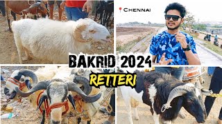 Retteri Goat Market 2024 PART1 BAKRID Santhai010624 Chennai  Saturday goat india chennai [upl. by Aikyn]