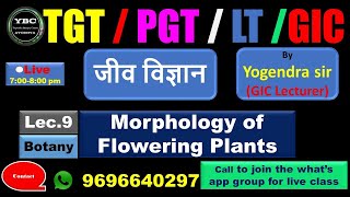 TGTPGTLTGIC Lecture9 Biology TGT PGT LT GIC जीवविज्ञान Morphology of F plants [upl. by Ranie]