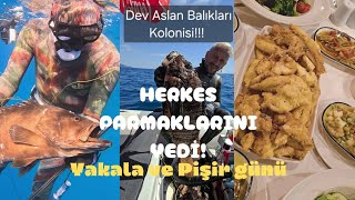 MUHTESEM GECEN DALIS GUNU sepearfishing Turkey [upl. by Weight]