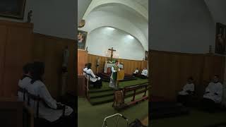 SSPX Catholic Church Pinelands 2024 06 23 [upl. by Zoa]