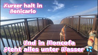 Fahren wir jetzt in das schlechte Wetter 🫣 leben und reisen im Wohnmobil 🚐❤️☀️vlog vanlife Hunde [upl. by Ecad]