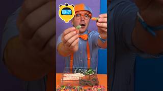 How MANY Rainbow Candies can Blippi COUNT 🔴🍭🟣 blippi shorts [upl. by Orsay]