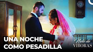 ¡Elvan Fue Casada Con Fuerza  Nido De Víboras [upl. by Bessy359]