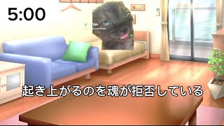 底辺看護学生の１日 猫ミーム 猫マニ 看護学生 [upl. by Iggep]