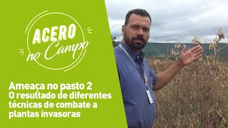 Identificação e Controle de Plantas Invasoas em Pastagens  vídeo 2 [upl. by Euqinaj]