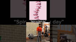 Me and my spine on Deadlift day 🫂💣🦍💪🏻youtubeshort aesthetic deadlift heardworkvideo gym beast [upl. by Atnauqal]