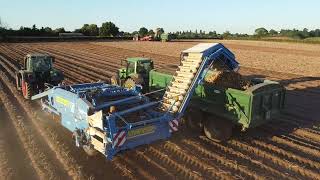 Standen T2XS Trailed Potato Harvester  Herefordshire 2024 [upl. by Adidnac]