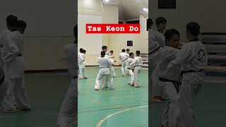 PENYERAGAMAN UKT DKI  DAN POOM  Tae Kwon Do Master I 태권도 I 국기원 taekwondo faktaunik kukkiwon [upl. by Wayolle]