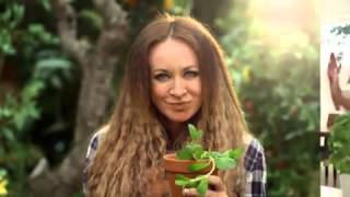 Woolworths customers react angrily to ‘freak’ label in Michelle Bridges soil eating video [upl. by Eniluj835]