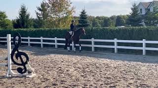 Hunter Equitation Flat Class  JaydenPeebles Muise riding Jazz [upl. by Gillman]