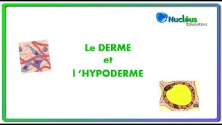 Le derme et lhypoderme [upl. by Ydolem]