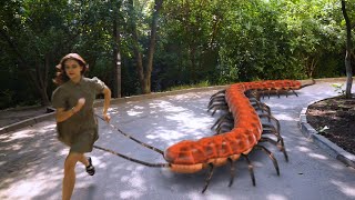 Slitherio Giant Scolopendra in Real Life [upl. by Bradley]