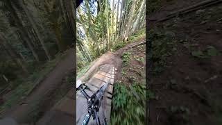 Bongobongo Tral is so funny  LEOGANG  Commencal Supreme V5 bike downhill downhillmtb mtb [upl. by Emilie]