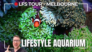 LFS Tour  Lifestyle Aquariums Melbourne [upl. by Rehtse572]