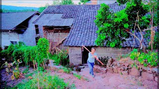 The Forgotten Village in China during Rice Harvest  Raw country LIFE in South Asia [upl. by Melosa380]