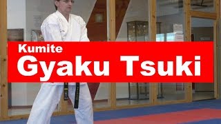 Gyaku Tsuki Karate Kumite Training Tutorial [upl. by Asina]