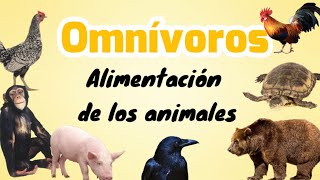 Animales omnívoros [upl. by Mcmurry]