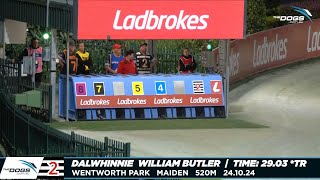 Dalwhinnie  Wentworth Park Track Record [upl. by Ahseek]