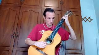 The barber of Seville Ouverture G Rossini Classical guitar Arrangement by Raul Soares [upl. by Aikemit]