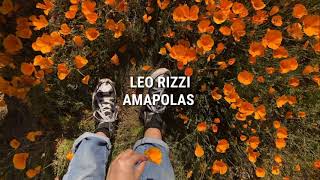 Amapolas  Leo Rizzi  letra [upl. by Lara]