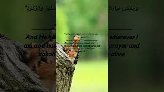 quran recitation quranmemorisation tilawat qurantranslation reminder jesus islam [upl. by Lucier885]