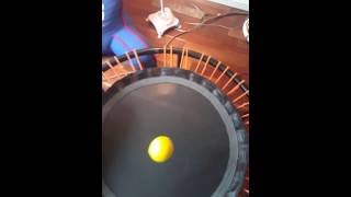 Bellicon 39 inch bungee rebounder  Lemon DROP test [upl. by Rekcut409]