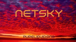 Netsky Tribute Mix PureLiquid Mix 216 [upl. by Desiri]