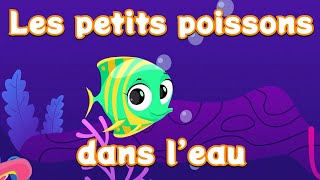 Les petits poissons dans leau  Comptine pour enfant et bébé avec paroles [upl. by Uriah]