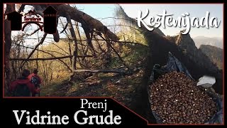 Kestenijada  Vidrine Grude Prenj [upl. by Aisyla735]