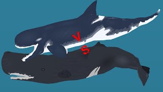 SNP  Sperm Whale VS Livyatan  Short Anim  Stick Nodes Pro [upl. by Augusta]