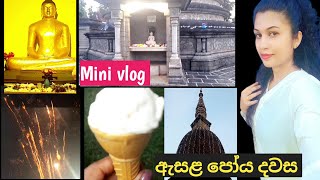 ඇසළ පෝය දවස 🙏  Mini Vlog ❤  තොරණ් බලන්න යමු 🤗  Dilini Herath [upl. by Nayarb337]