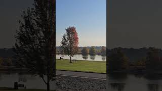 Picturesque River Views video trending viralvideo [upl. by Erine]